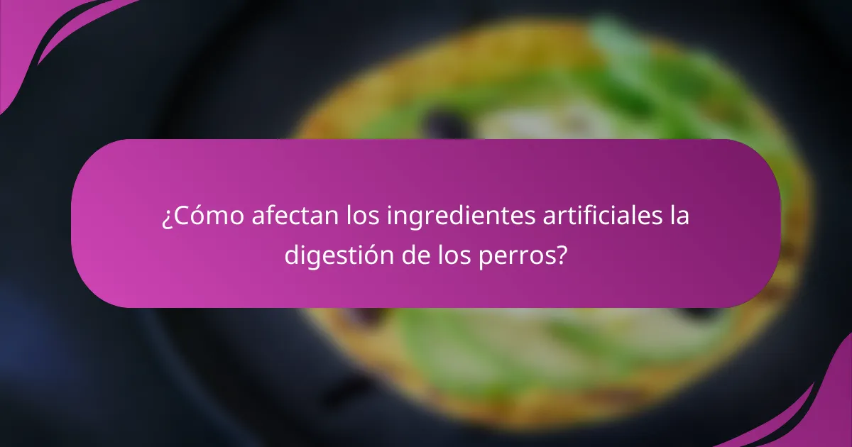 ¿Cómo afectan los ingredientes artificiales la digestión de los perros?
