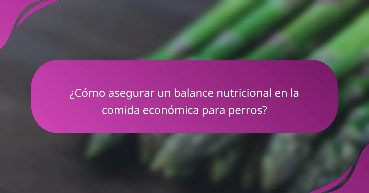 ¿Cómo asegurar un balance nutricional en la comida económica para perros?