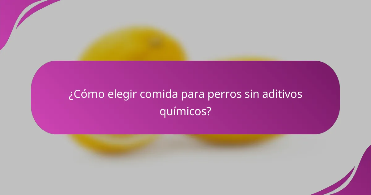 ¿Cómo elegir comida para perros sin aditivos químicos?