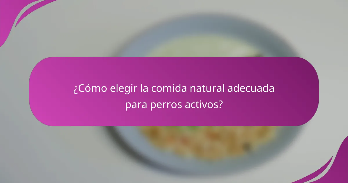 ¿Cómo elegir la comida natural adecuada para perros activos?