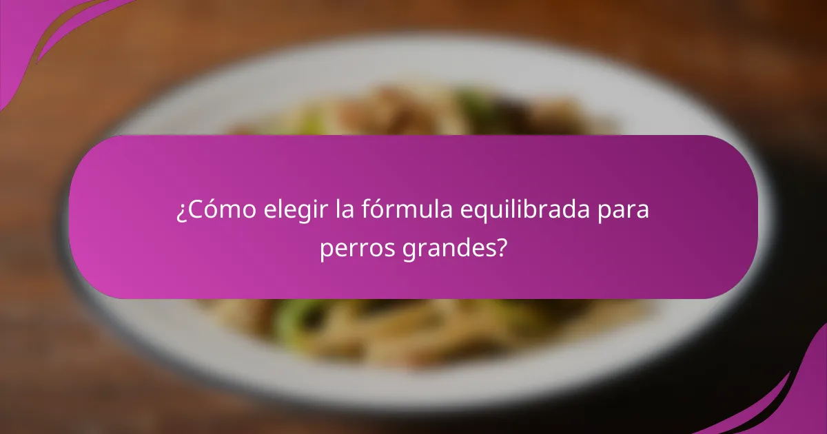 ¿Cómo elegir la fórmula equilibrada para perros grandes?