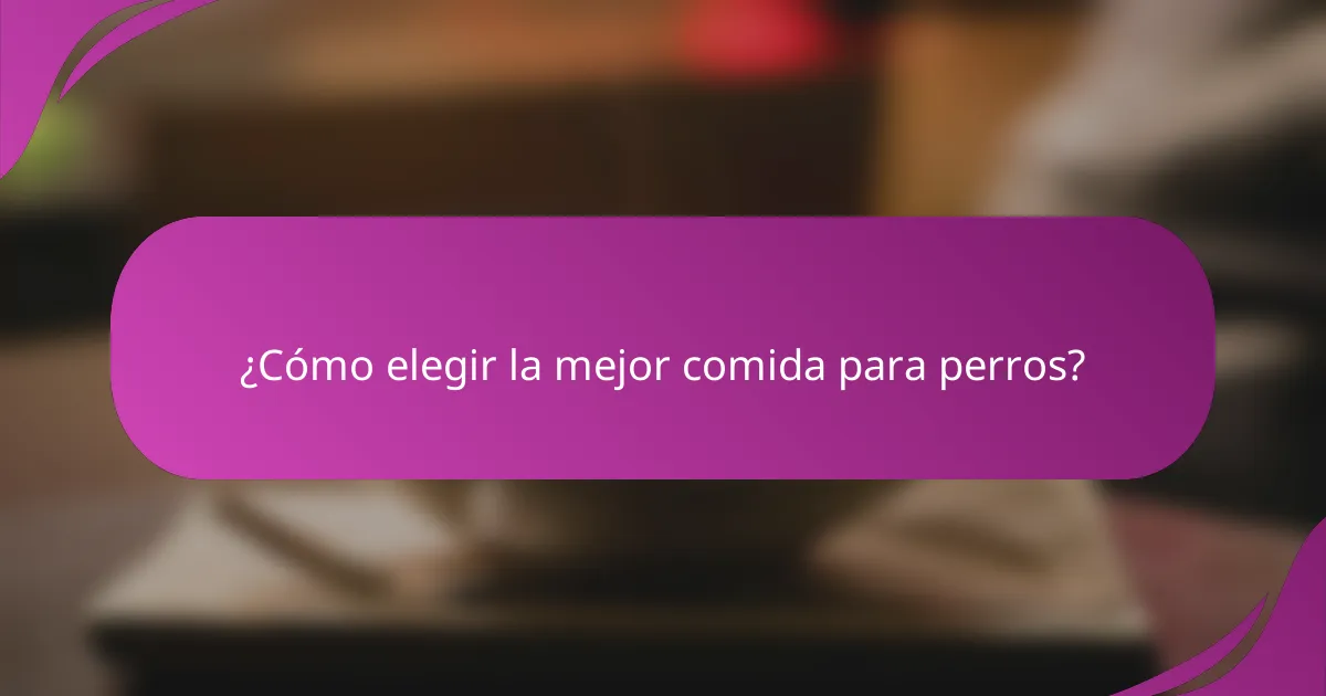 ¿Cómo elegir la mejor comida para perros?