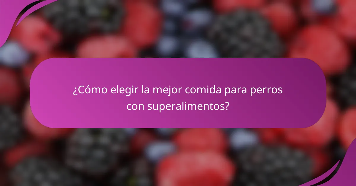¿Cómo elegir la mejor comida para perros con superalimentos?