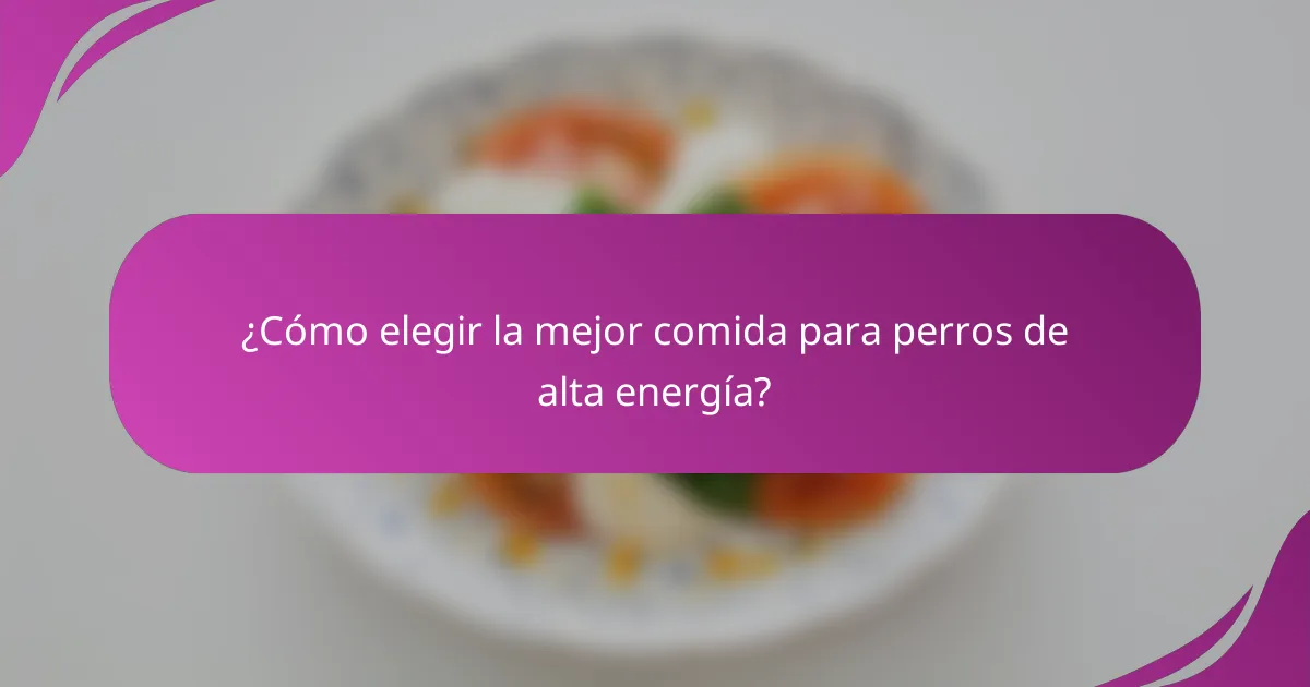 ¿Cómo elegir la mejor comida para perros de alta energía?