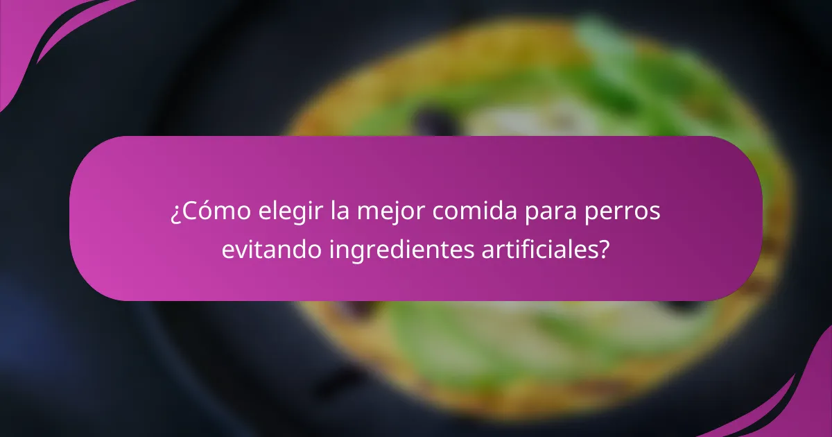 ¿Cómo elegir la mejor comida para perros evitando ingredientes artificiales?
