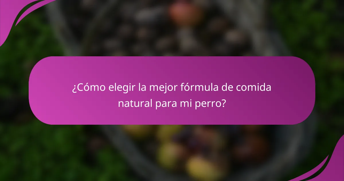 ¿Cómo elegir la mejor fórmula de comida natural para mi perro?