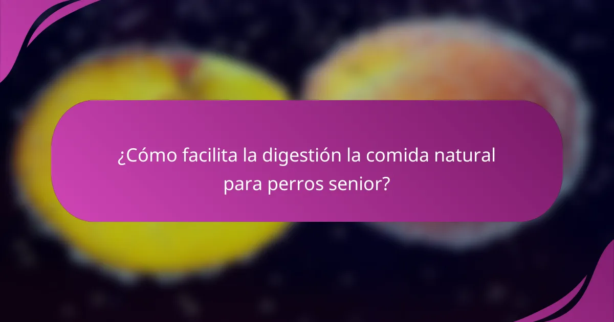 ¿Cómo facilita la digestión la comida natural para perros senior?