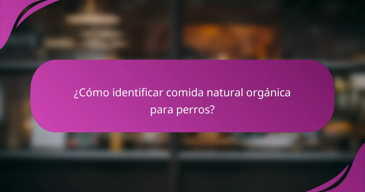 ¿Cómo identificar comida natural orgánica para perros?