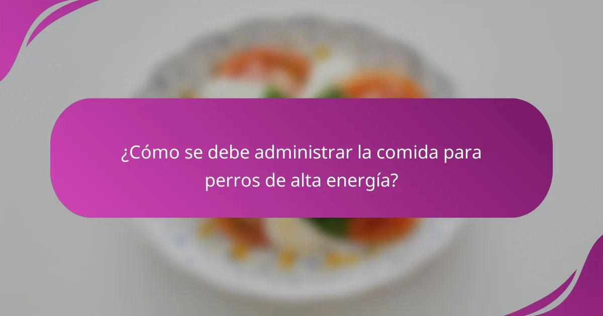 ¿Cómo se debe administrar la comida para perros de alta energía?