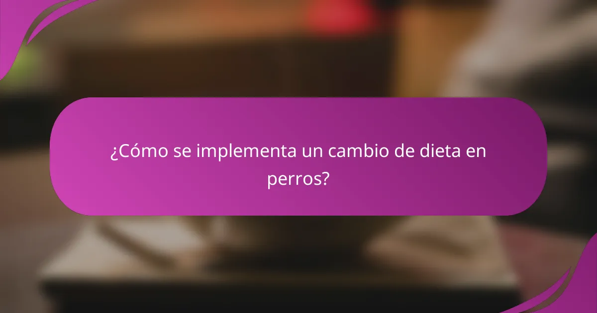 ¿Cómo se implementa un cambio de dieta en perros?