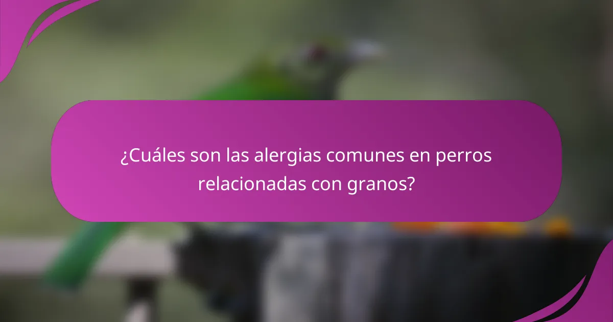 ¿Cuáles son las alergias comunes en perros relacionadas con granos?