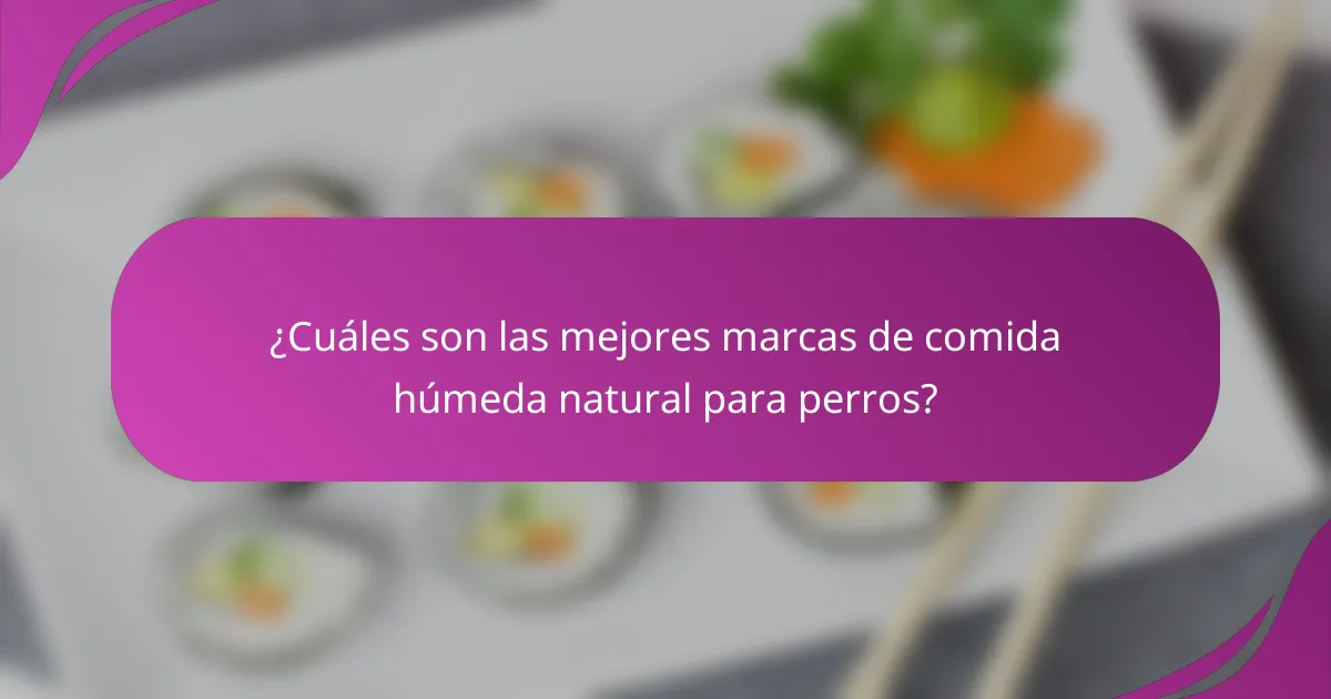 ¿Cuáles son las mejores marcas de comida húmeda natural para perros?