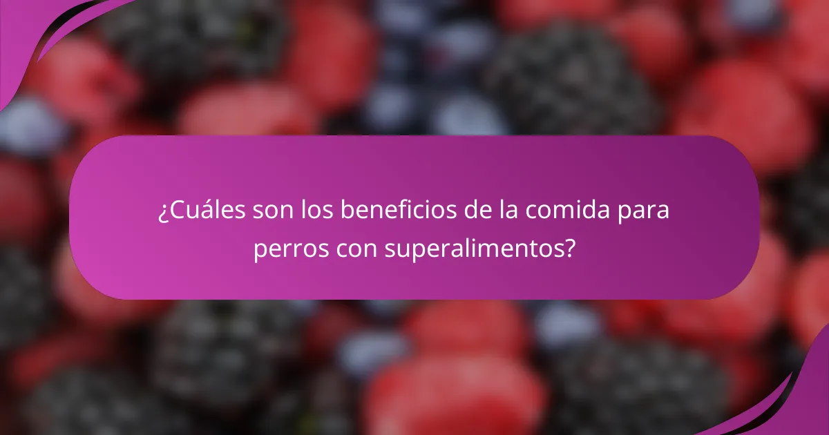 ¿Cuáles son los beneficios de la comida para perros con superalimentos?