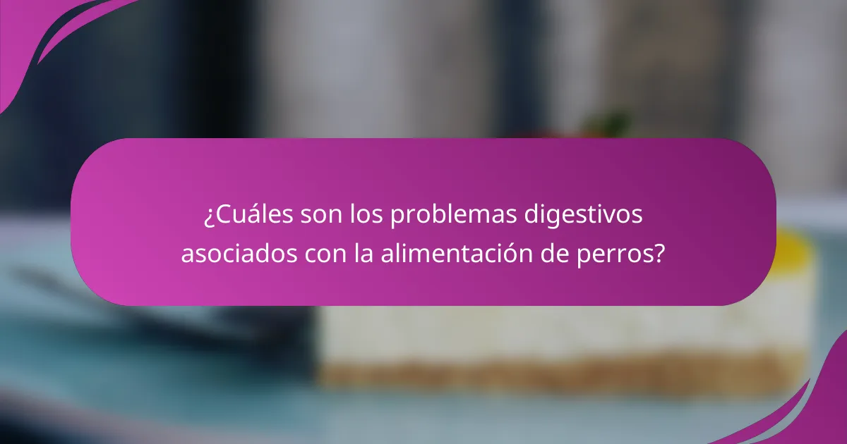 ¿Cuáles son los problemas digestivos asociados con la alimentación de perros?
