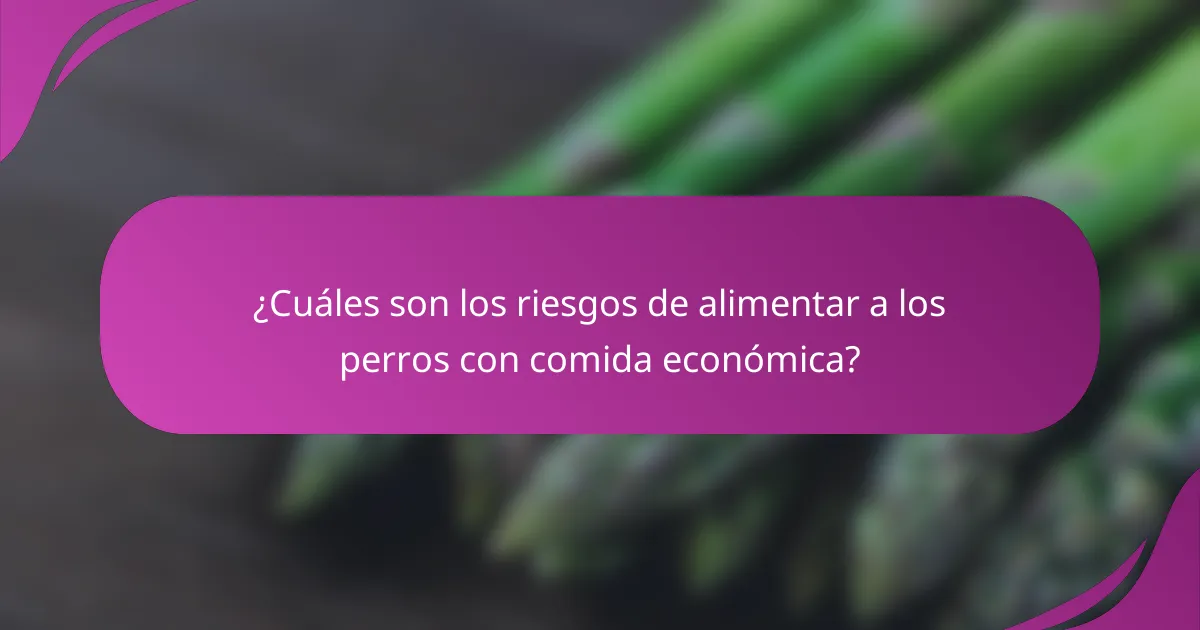¿Cuáles son los riesgos de alimentar a los perros con comida económica?