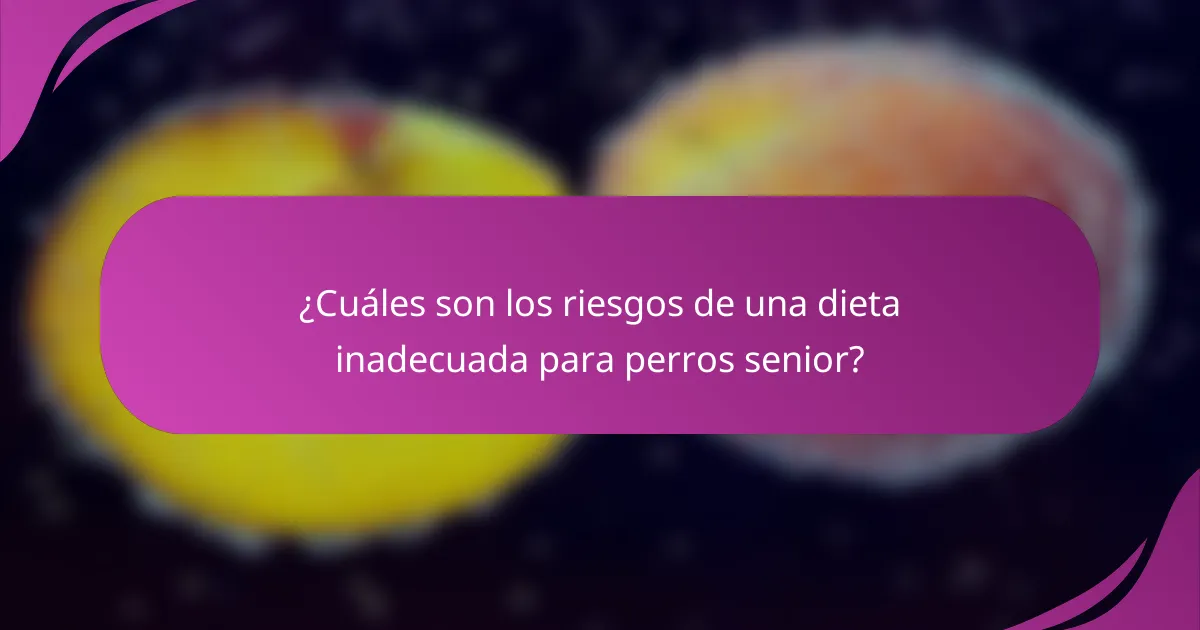 ¿Cuáles son los riesgos de una dieta inadecuada para perros senior?