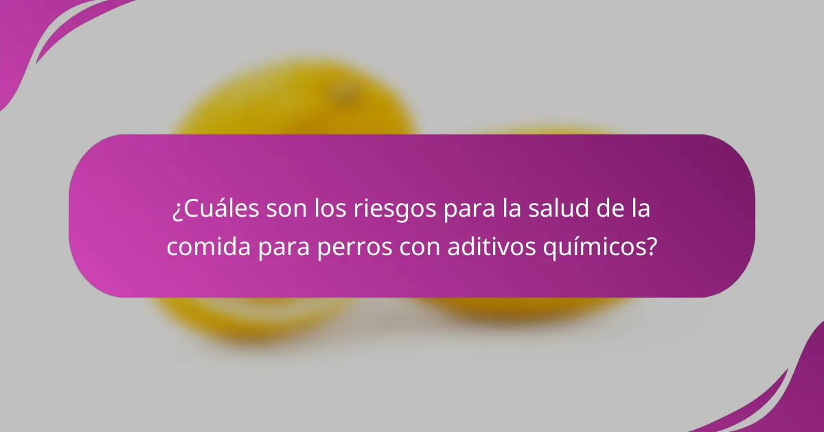 ¿Cuáles son los riesgos para la salud de la comida para perros con aditivos químicos?