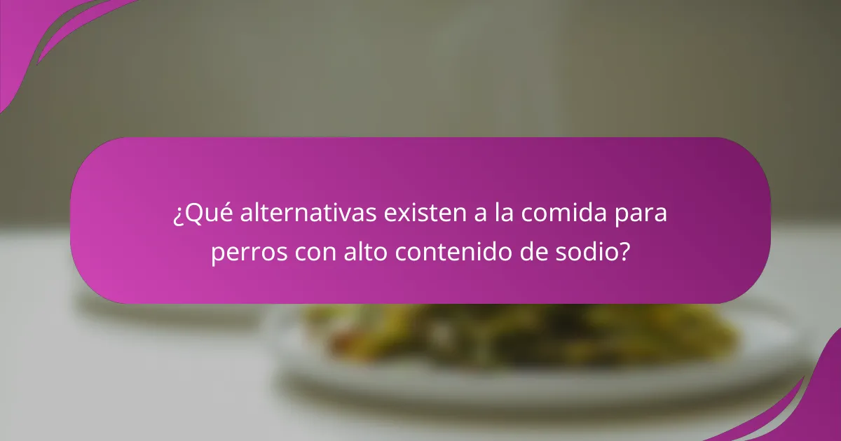 ¿Qué alternativas existen a la comida para perros con alto contenido de sodio?