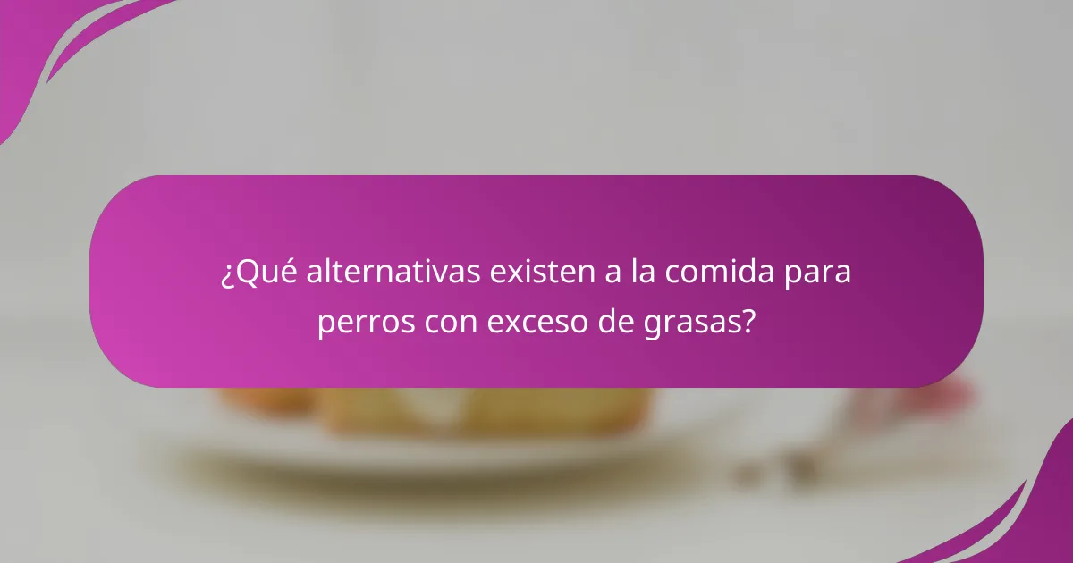 ¿Qué alternativas existen a la comida para perros con exceso de grasas?