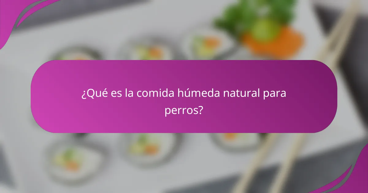 ¿Qué es la comida húmeda natural para perros?