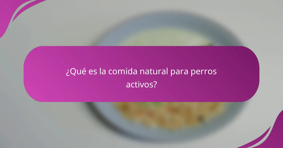 ¿Qué es la comida natural para perros activos?