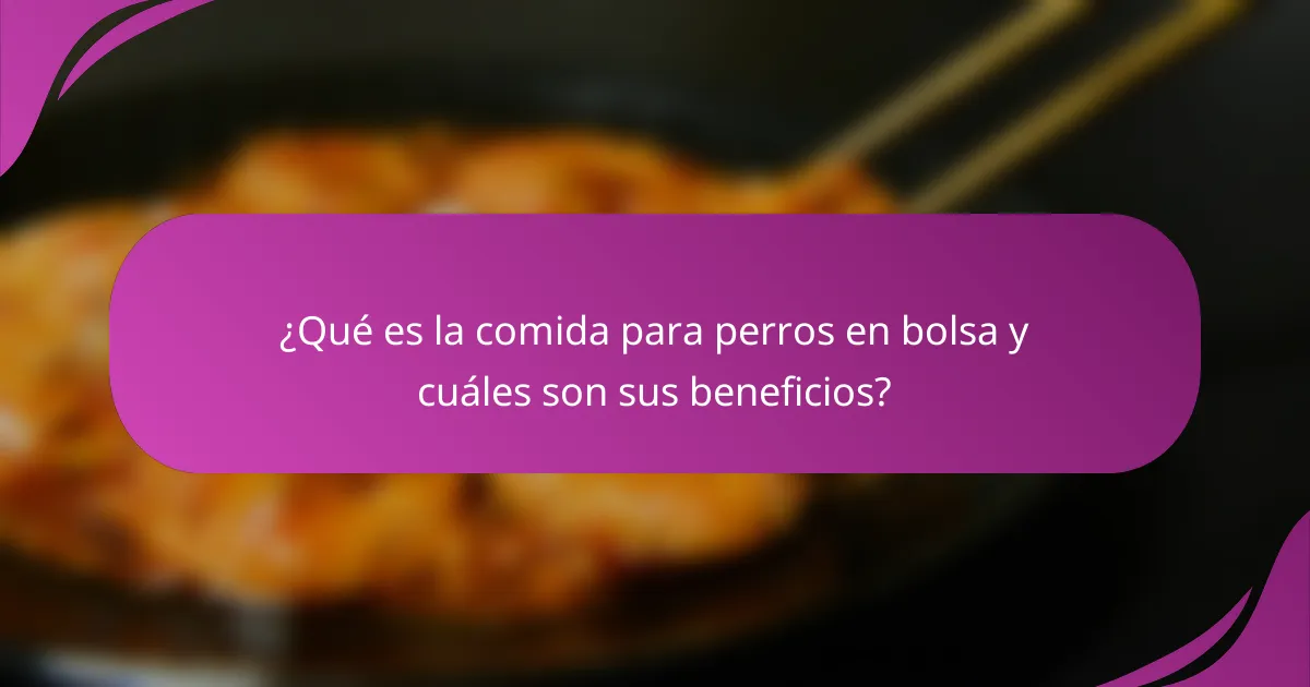 ¿Qué es la comida para perros en bolsa y cuáles son sus beneficios?