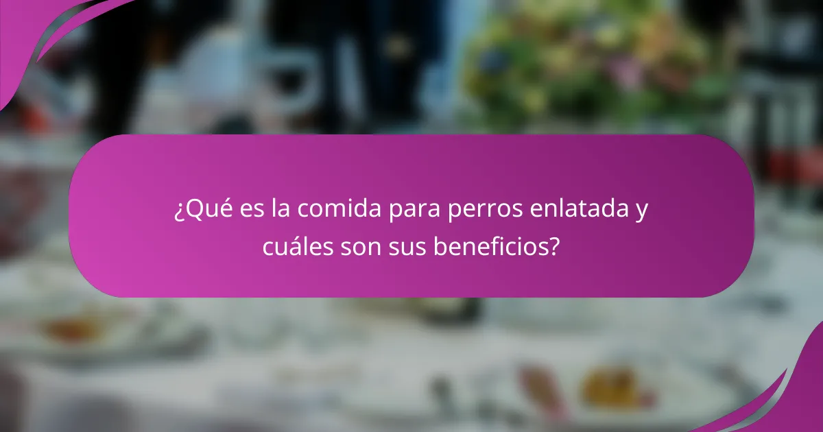 ¿Qué es la comida para perros enlatada y cuáles son sus beneficios?