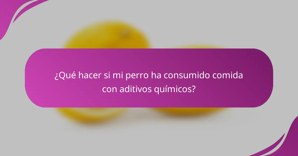 ¿Qué hacer si mi perro ha consumido comida con aditivos químicos?