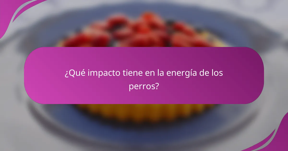 ¿Qué impacto tiene en la energía de los perros?