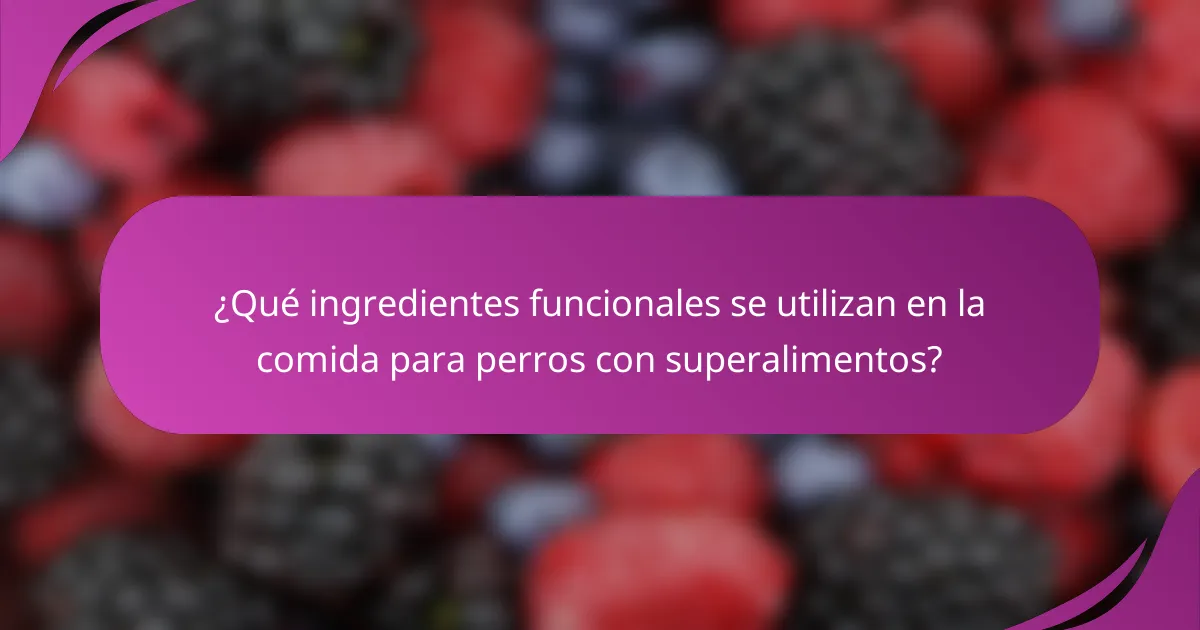 ¿Qué ingredientes funcionales se utilizan en la comida para perros con superalimentos?
