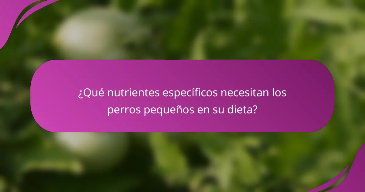 ¿Qué nutrientes específicos necesitan los perros pequeños en su dieta?