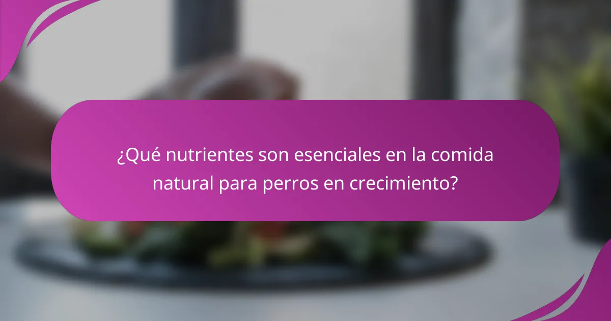 ¿Qué nutrientes son esenciales en la comida natural para perros en crecimiento?
