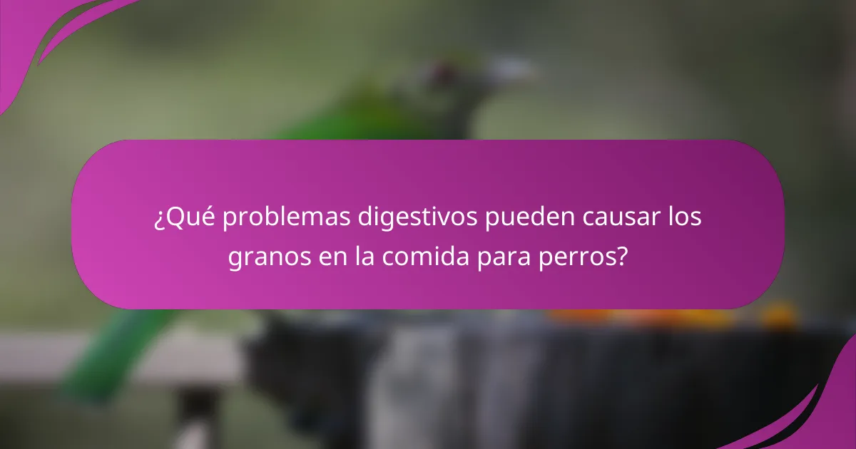 ¿Qué problemas digestivos pueden causar los granos en la comida para perros?