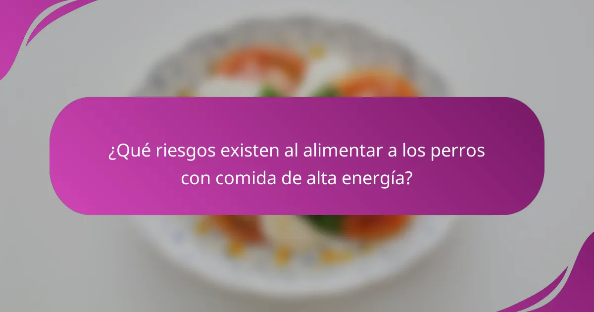 ¿Qué riesgos existen al alimentar a los perros con comida de alta energía?